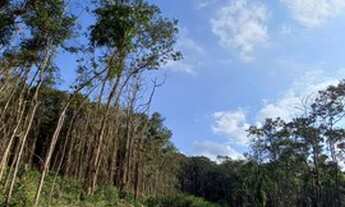 Imagem: AGENDE SUA VISITA ! 19DTNVD