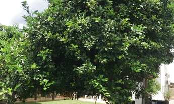 Imagem 4: Casa sobrado no Condomínio Quintas do Trevo