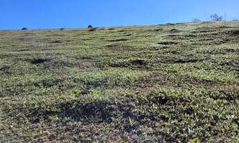 Imagem 7: Maravilhoso Terreno a venda na cidade de Pinhalzinho/SP, com área de 2000 m². Venha conhec