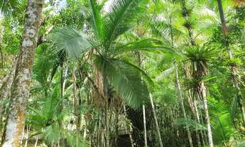 Imagem 3: Fazenda/Sítio/Chácara para venda possui 22000 metros quadrados com 5 quartos