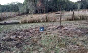 Imagem 2: Chácara com 3 dormitórios à venda, 10000 m² por R$ 290.000,00 - Centro - Biritiba Mirim/SP