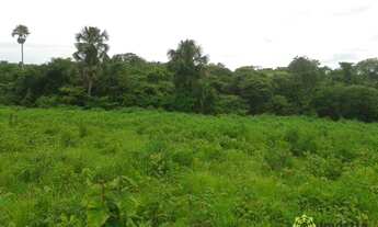 Imagem 5: Fazenda à venda, 1.800 Hectares em Dueré do Tocantins