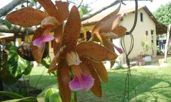 Imagem: Chácara residencial à venda, Bom Fim