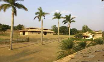 Imagem: Maravilhoso haras a venda, em Jaguariúna