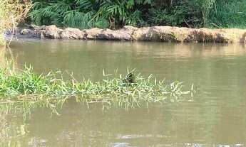 Imagem 6: CHÁCARA PRONTA PARA LAZER E MORADIA A 70 KM DE GOIÂNIA - GO
