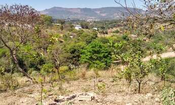 Imagem 3: Lotes em Igarapé