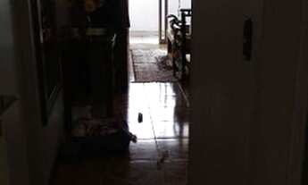 Imagem 2: Apartamento com 4 dormitórios para alugar, 100 m² por R$ 2.500,00/mês - Floradas de São Jo