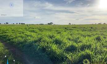 Imagem 7: Fazenda aberta à venda, 1.700 Hectares em Miranorte do Tocantins