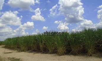 Imagem 3: Fazenda à venda, 1645600 m² por R$ 38.000.000,00 - Avecuia - Porto Feliz/SP