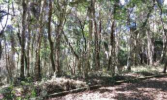 Imagem 2: Belíssimo Terreno no Residencial SAUSALITO!