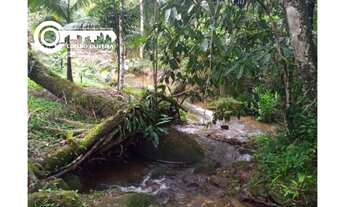 Imagem 5: Chácara a venda em Cajati-SP