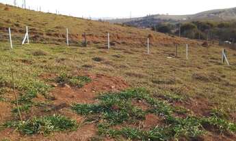 Imagem 3: COD:1861 Terreno de 1.000 m² no bairro Farias