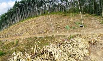 Imagem 3: Lote/Terreno para venda com 999 metros quadrados em aterrado - Salesópolis - São Paulo