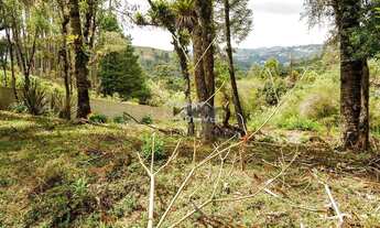 Imagem 7: EXCELENTE OPORTUNIDADE DE NEGÓCIO, ÓTIMO TERRENO À VENDA!!!