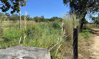 Imagem 2: Fazenda com 3 dormitórios à venda, 1130000 m² por R$ 1.200.000,00 - Plano Diretor Sul - Pa