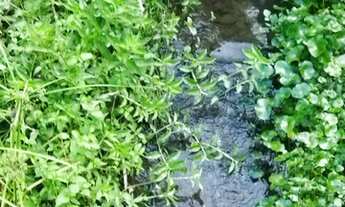 Imagem 5: Terreno com Pontecial Turistico