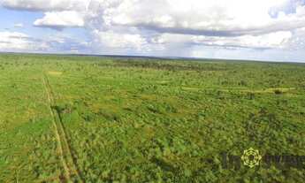 Imagem 3: Fazenda à venda, 2.130 Hectares em Colinas do Tocantins/TO