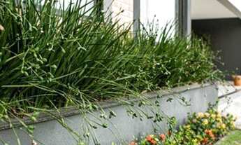 Imagem 4: Sobrado com 5 dormitórios à venda, 500 m² por R$ 2.500.000,00 - Residencial Lagos D'I