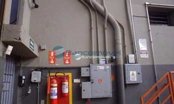 Imagem 5: Galpão Comercial para locação, Bonfim, Campinas -