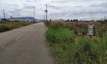 Imagem 2: TERRENO INDUSTRIAL AS MARGENS DA BR 101 - TE604