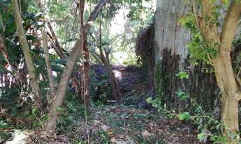 Imagem 7: Terreno no Jardim Pernambuco