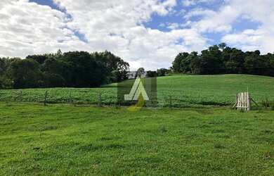 Imagem 2: SÍTIO DE 20 ALQUEIRES