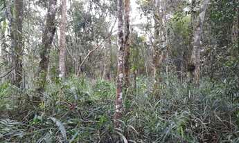 Imagem 5: Terreno à venda, 980 m² por R$ 120.000,00 - Rio Acima - Mairiporã/SP