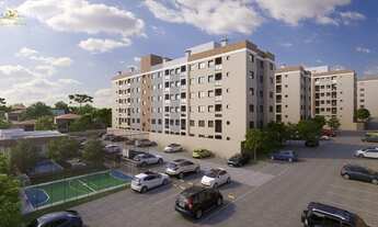 Imagem 3: SãO JOSé DOS PINHAIS - Padrão - Pedro Moro