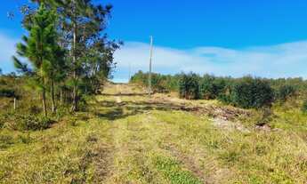 Imagem 2: Chácara à venda, próximo das praias e ótimo para plantio!<br>localizada em Passo de