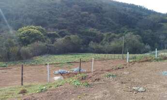 Imagem 2: COD:1861 Terreno de 1.000 m² no bairro Farias