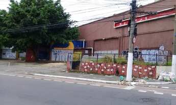 Imagem 6: Terreno à venda, 5062 m² por R$ 28.000.000,00 - Belenzinho - São Paulo/SP