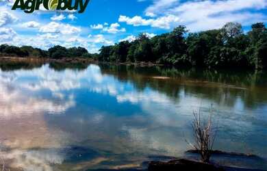 Imagem 4: Fazenda Localizada na Cidade de Peixe - to
