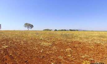 Imagem 2: Fazenda à venda, 976 Hectares em Santa Rita do Tocantins/TO