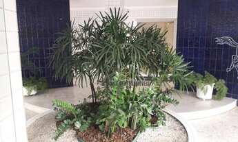 Imagem 2: R- Um ótimo apartamento à venda por R$ 800.000 - Gonzaga - Santos/SP