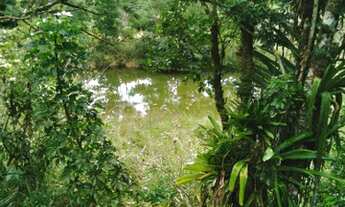 Imagem 4: 28 alqueires ...Ana Dias..Itariri SP