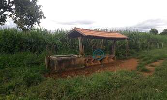 Imagem 7: Vendo Confinamento com Capacidade para 400 Boi a 14 KM de Brazlândia/DF