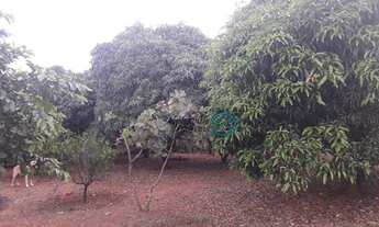 Imagem 2: Vendo Confinamento com Capacidade para 400 Boi a 14 KM de Brazlândia/DF