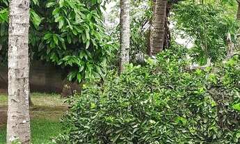 Imagem 6: Chacara em Nova Almeida