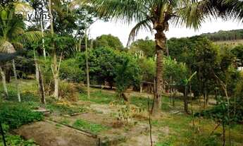 Imagem 7: Maravilhosa chácara com área total de 2.000 m² no município de Pinhalzinho, interior de Sã