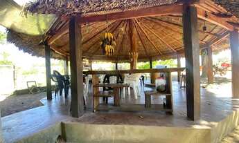 Imagem 3: Fazenda com 3 dormitórios à venda, 1130000 m² por R$ 1.200.000,00 - Plano Diretor Sul - Pa