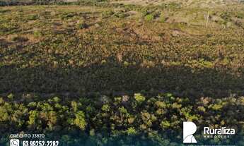 Imagem 3: Fazenda de dupla aptidão com aproveitamento de 70% no vale do Araguaia - TO