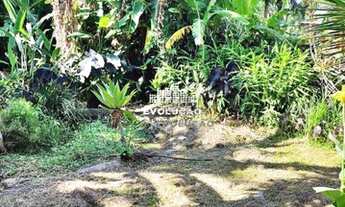 Imagem 6: Sítio 3.000,00m², Vargem do Bom Jesus, Florianópolis/SC