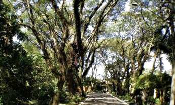 Imagem 4: Cond. Vila Vianna - "Lote 4" : 609,76m²