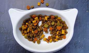 Imagem: Pet Shop e Agropecuária, 80m² - Esteio/RS