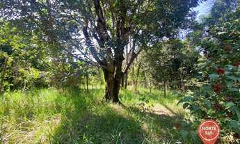 Imagem 2: Terreno à venda, 800 m² por R$ 130.000 - Alto dos Caiçaras - São Joaquim de Bicas/Minas Ge