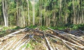 Imagem 6: 06- Lote/Terreno para venda com 2500 metros quadrados em aterrado - Salesópolis - São Pau
