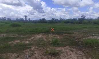 Imagem 4: Vende-se Fazenda em Vargem Grande/MA com 2mil Hectares