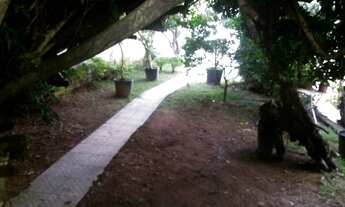 Imagem 7: CA1341 Casa Residencial / Ipiranga