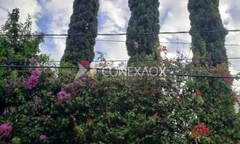 Imagem 2: Casa - Jardim das Paineiras - Campinas