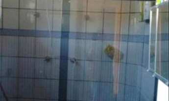 Imagem 7: Casa à venda, 52 m² por R$ 400.000,00 - Sacomã - São Paulo/SP